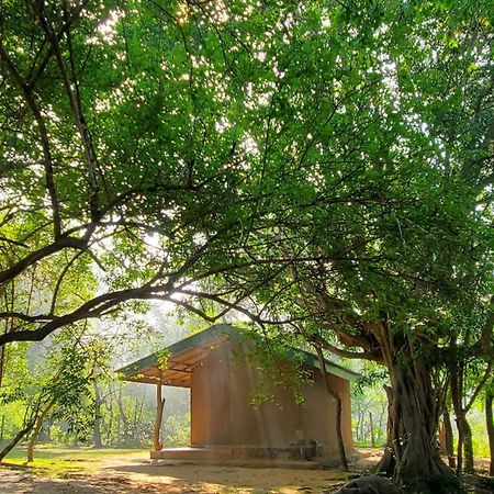 Clay Hut Village Polonnaruwa Zewnętrze zdjęcie