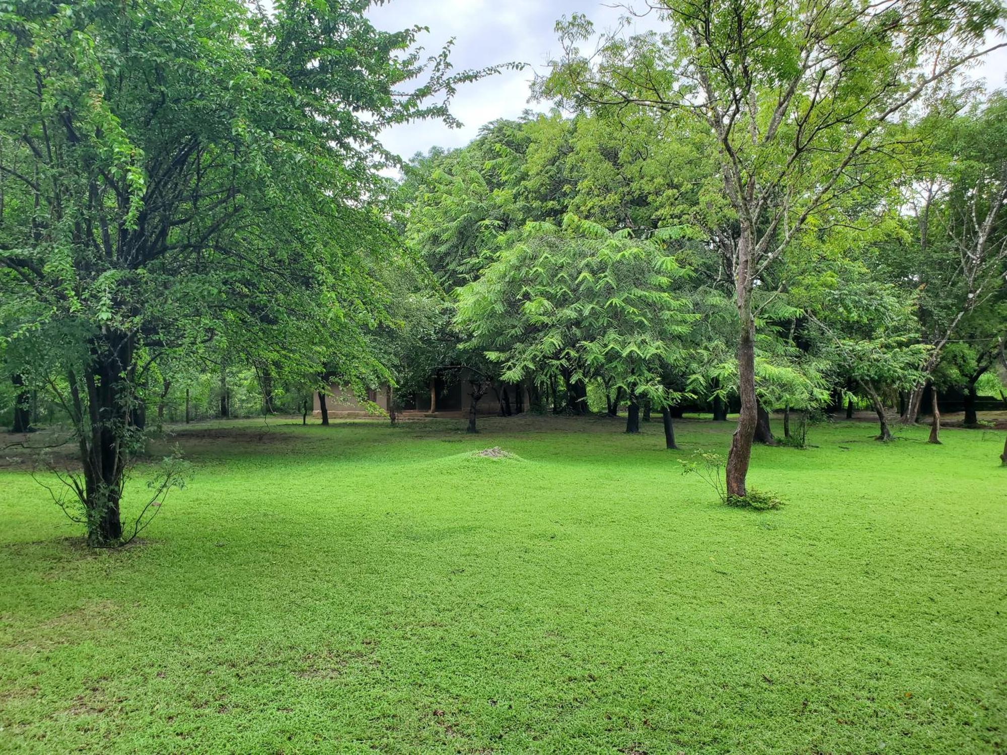 Clay Hut Village Polonnaruwa Zewnętrze zdjęcie