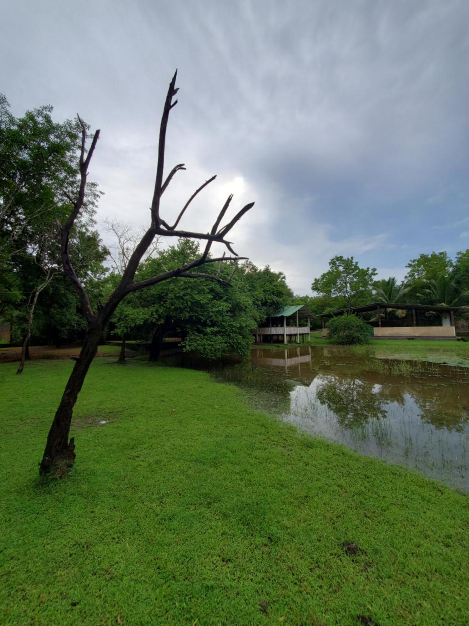 Clay Hut Village Polonnaruwa Zewnętrze zdjęcie