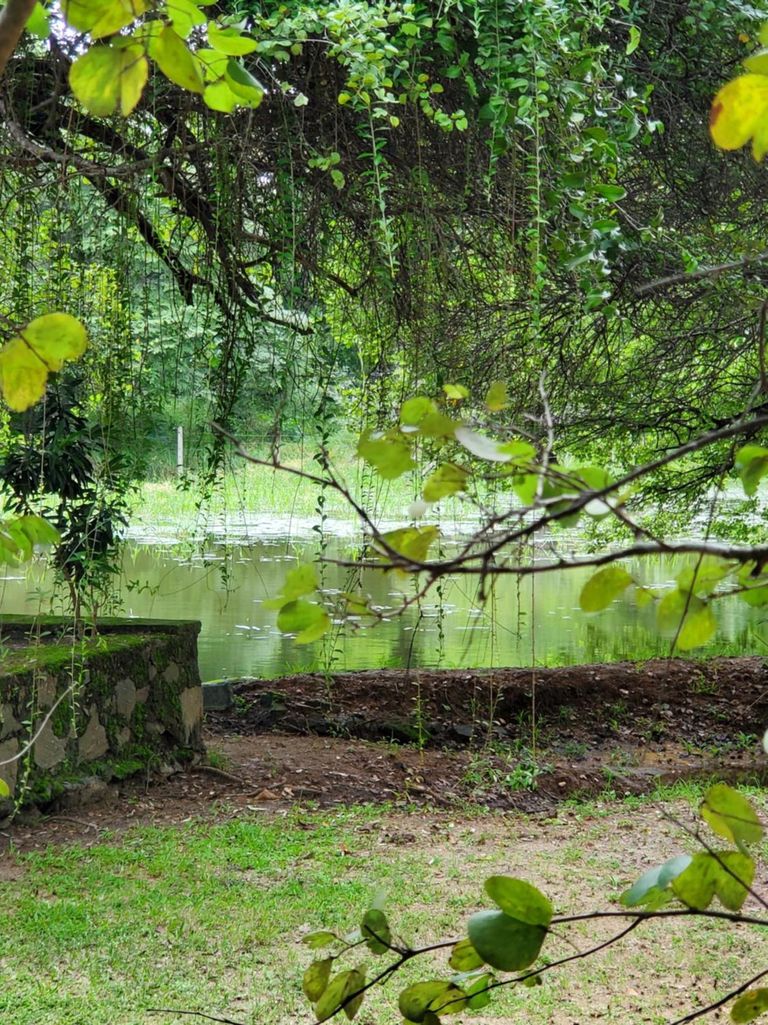 Clay Hut Village Polonnaruwa Zewnętrze zdjęcie