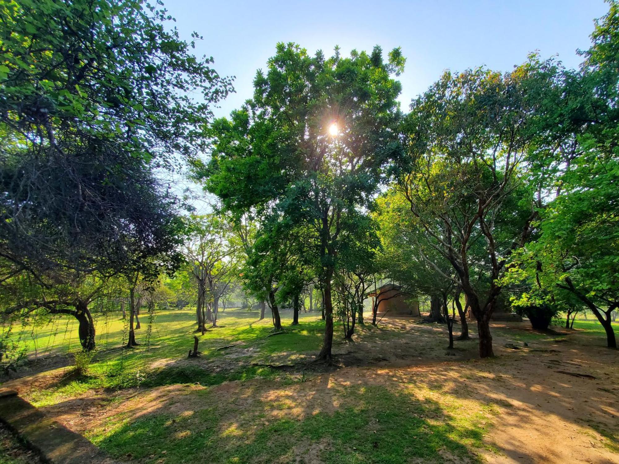 Clay Hut Village Polonnaruwa Zewnętrze zdjęcie