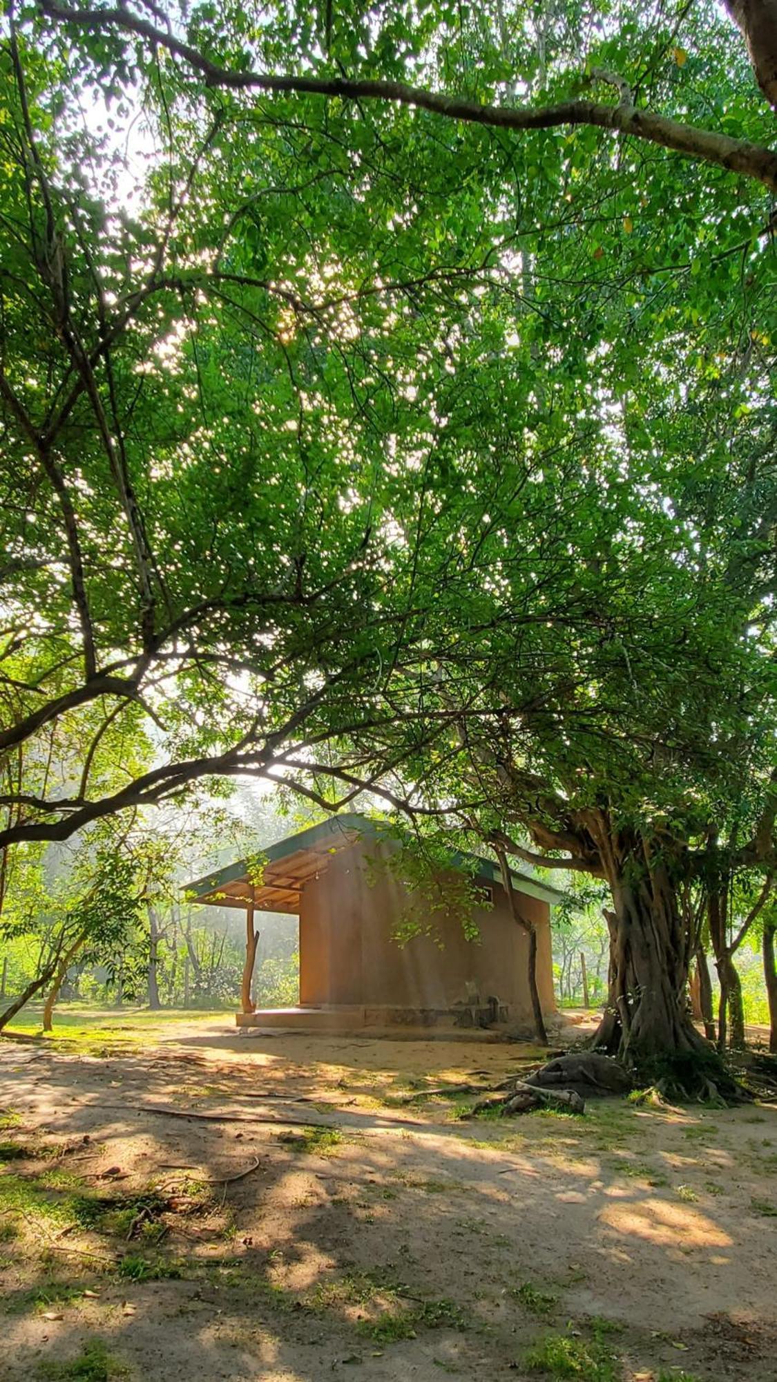 Clay Hut Village Polonnaruwa Zewnętrze zdjęcie